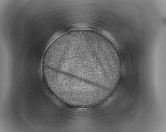 X0000113041378200909171512