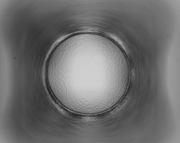 X0000113041379200909171512