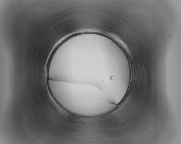 X0000113041380200909171512