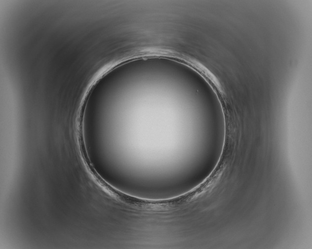X0000113041381200909171512
