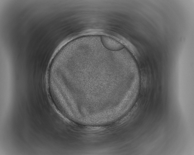 X0000113041382200909171512