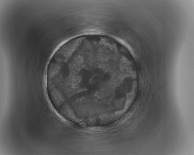 X0000113041383200909171512