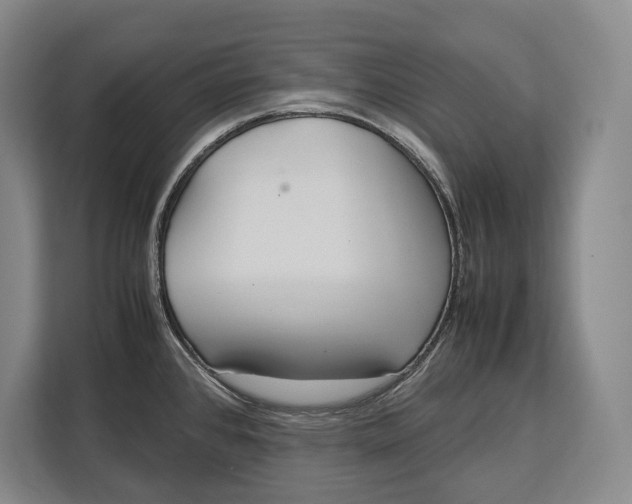 X0000113041384200909171512