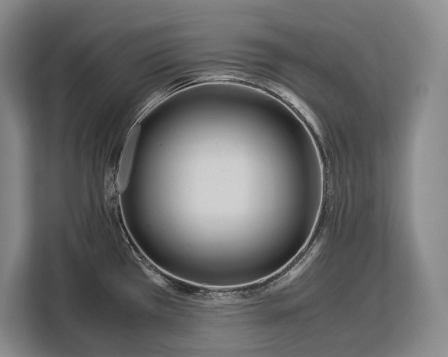X0000113041385200909171512