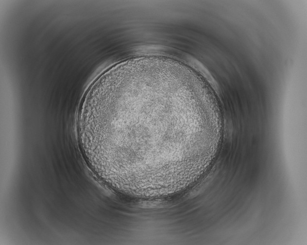 X0000113041386200909171512