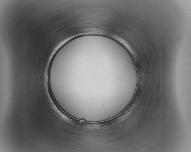 X0000113041387200909171512