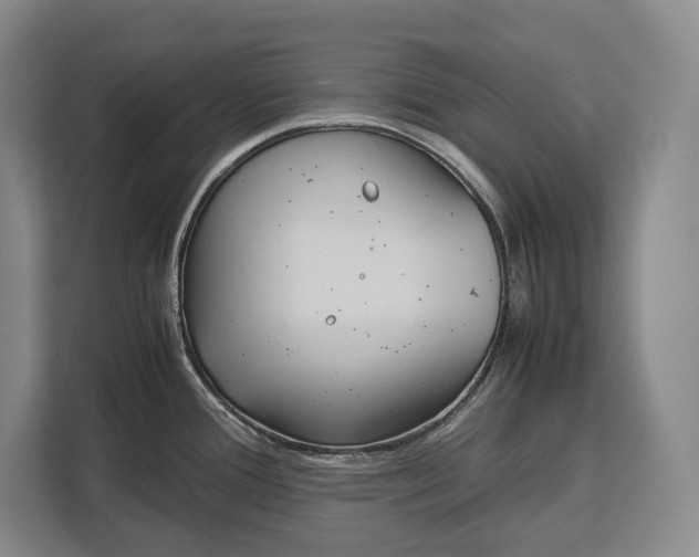 X0000113041388200909171512