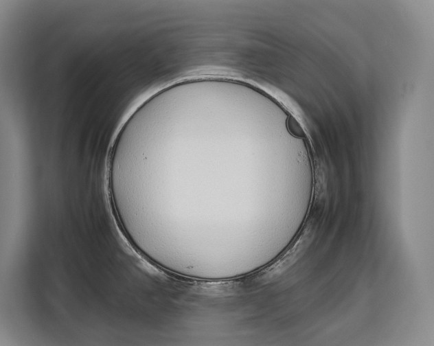 X0000113041390200909171512