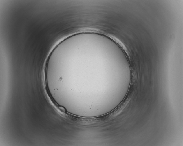 X0000113041391200909171512