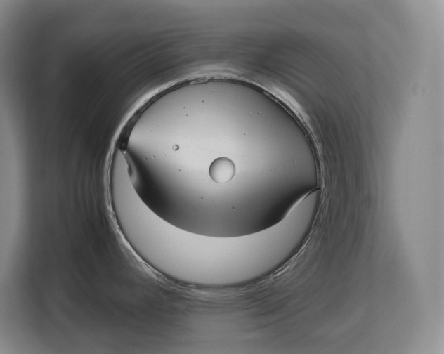 X0000113041392200909171512