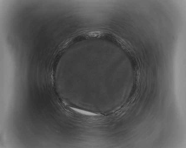 X0000113041394200909171511