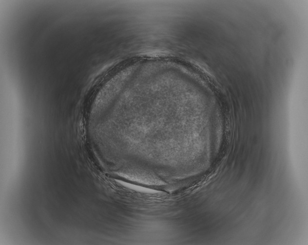 X0000113041398200909171511