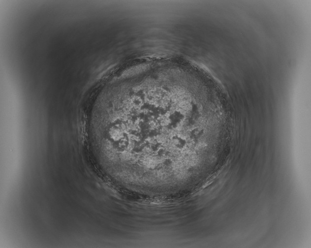 X0000113041399200909171511