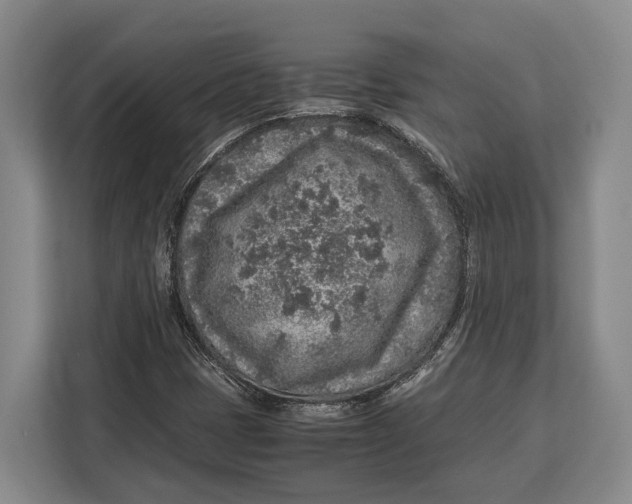 X0000113041401200909171512