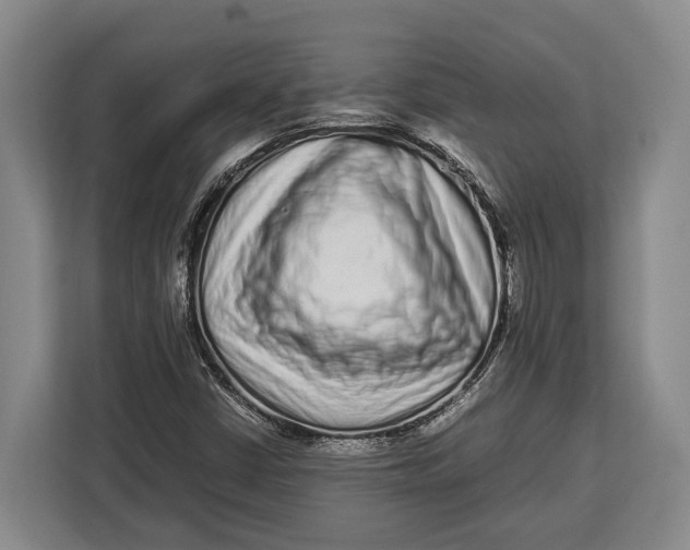 X0000113041402200909171512