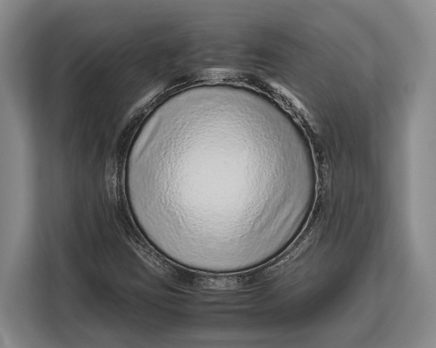 X0000113041403200909171512