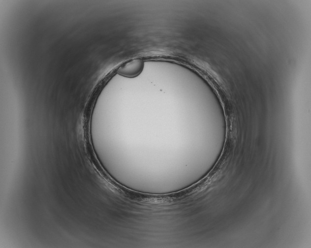 X0000113041404200909171512