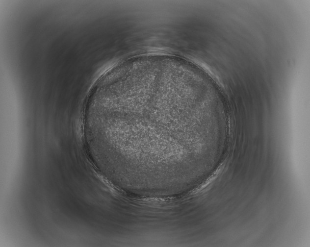X0000113041405200909171512