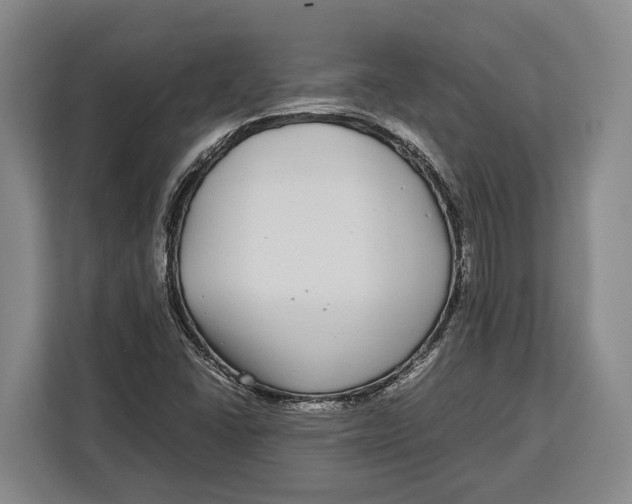 X0000113041406200909171512