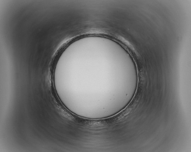 X0000113041408200909171512