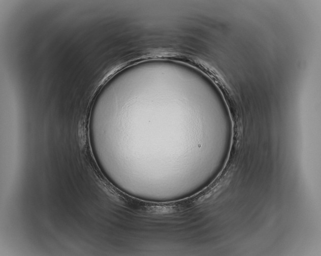 X0000113041409200909171512