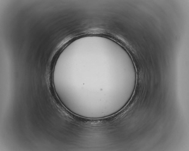 X0000113041410200909171512