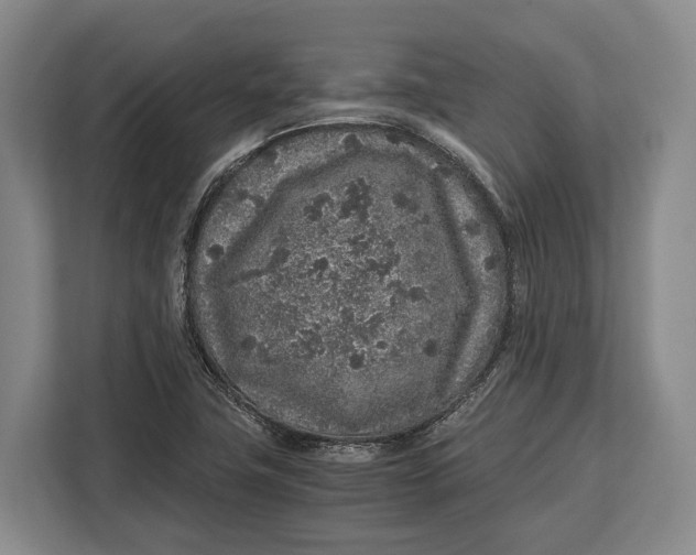 X0000113041411200909171512