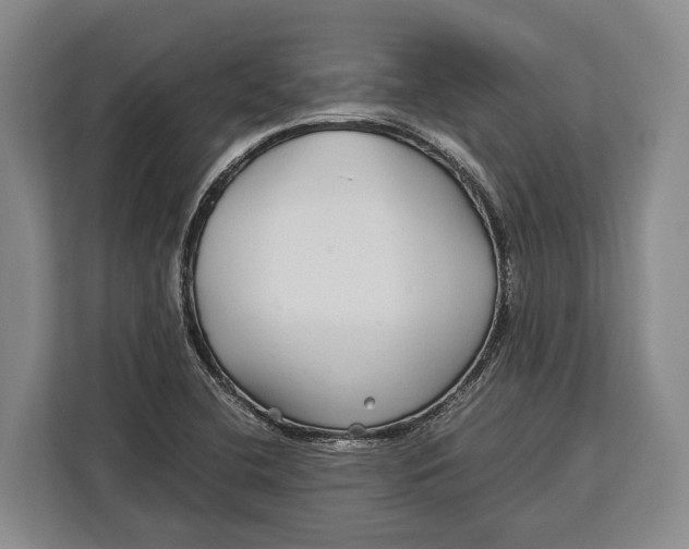 X0000113041412200909171512