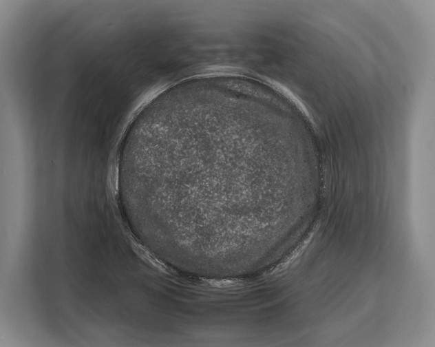 X0000113041413200909171512
