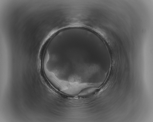 X0000113041414200909171512