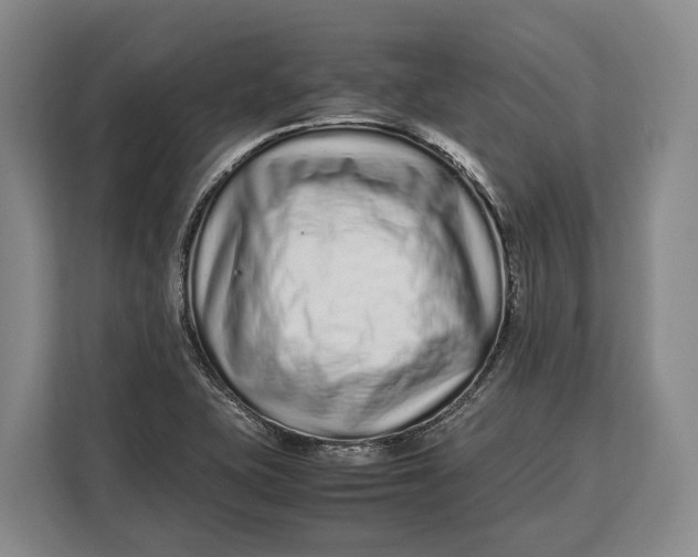 X0000113041415200909171512