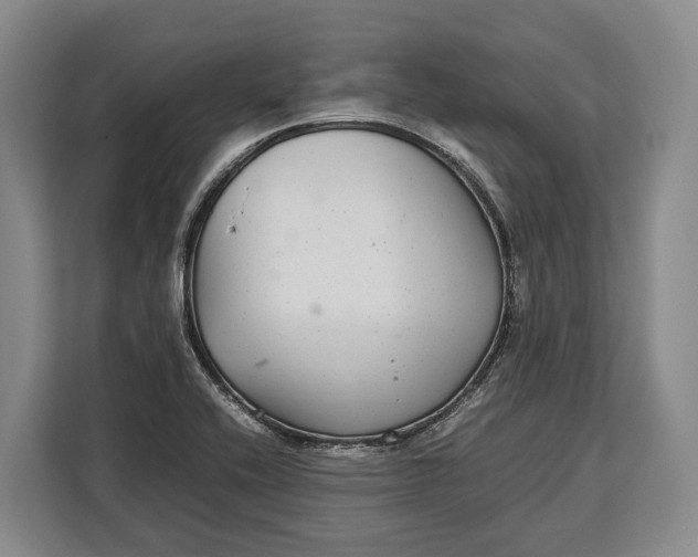 X0000113041416200909171512