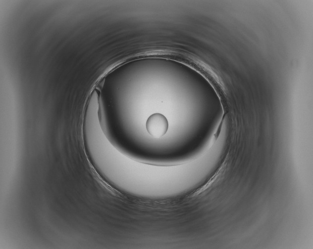X0000113041417200909171512