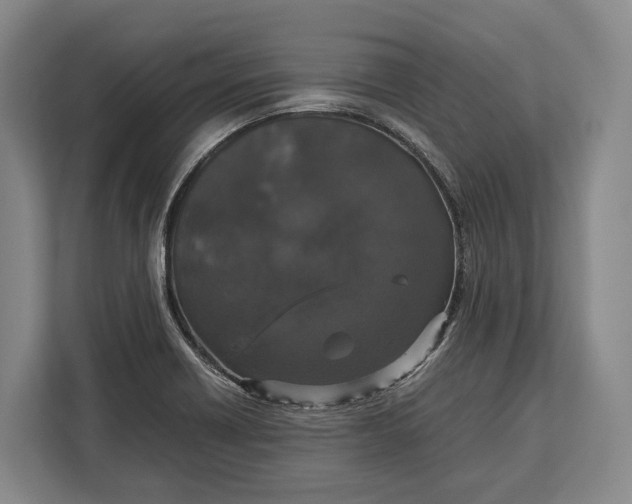 X0000113041418200909171512