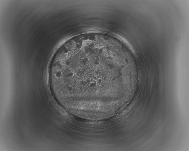X0000113041419200909171512