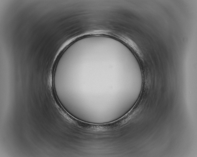 X0000113041420200909171512