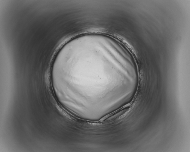 X0000113041421200909171512