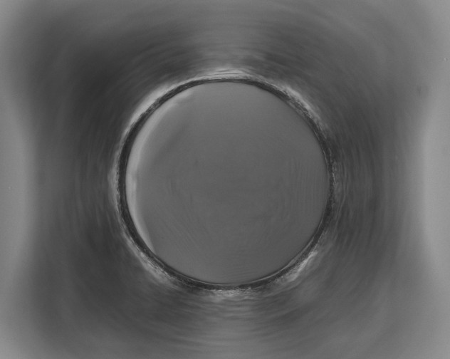 X0000113041422200909171512