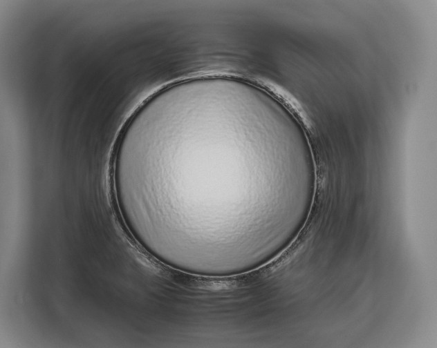 X0000113041423200909171512