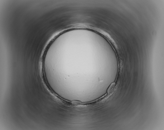 X0000113041424200909171512