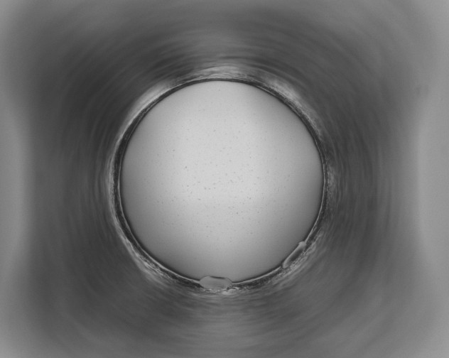 X0000113041426200909171512