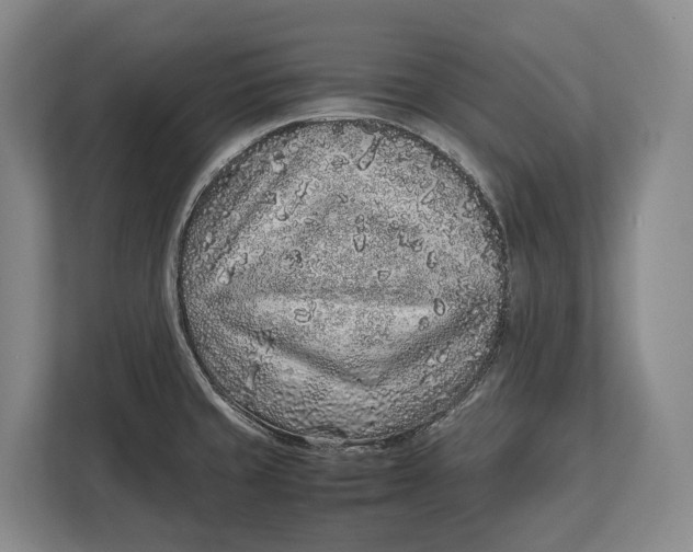 X0000113041429200909171512