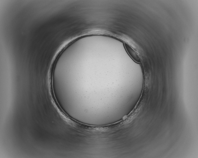 X0000113041430200909171512