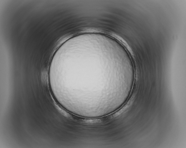 X0000113041433200909171512