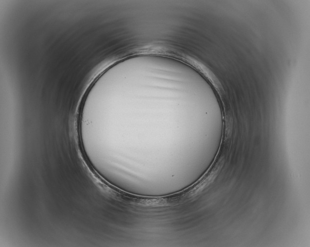 X0000113041434200909171512