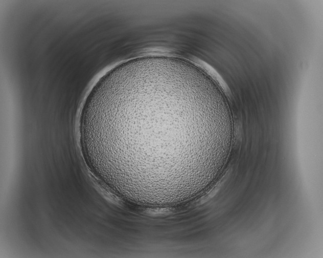 X0000113041435200909171512