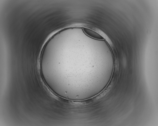 X0000113041436200909171512