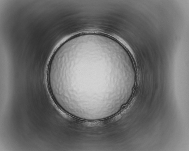 X0000113041437200909171512