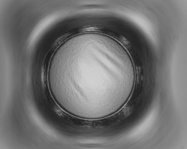X0000113041438200909171512