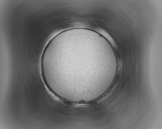 X0000113041439200909171512